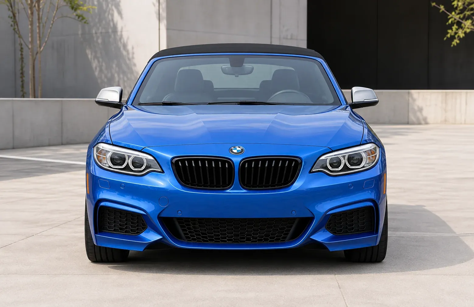 2015 BMW 2 Series with EW-P-MF-002 wheel, front 0 view