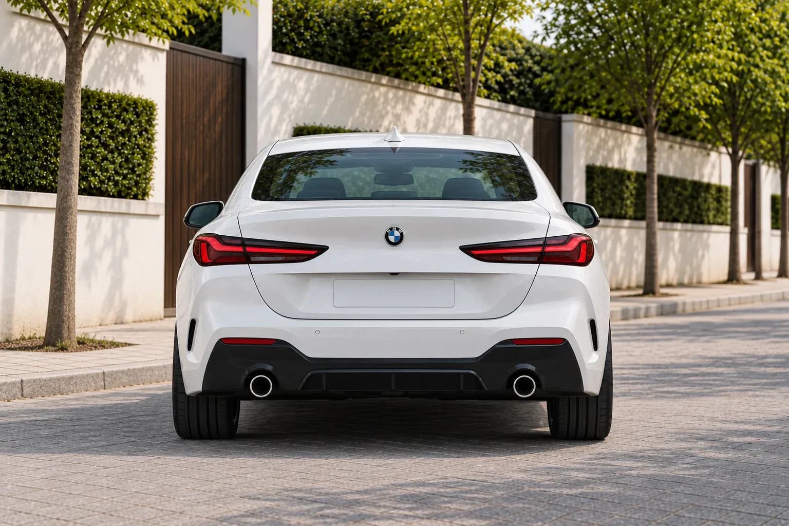 2020 BMW 2 Series with EW-P-MP-016 wheel, rear 0 view