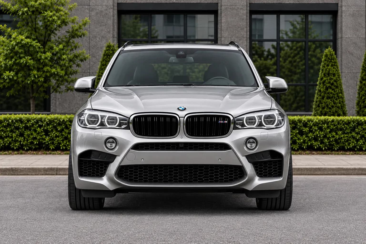 2015 BMW X5 M with EW-S-MF-003 wheel, front 0 view