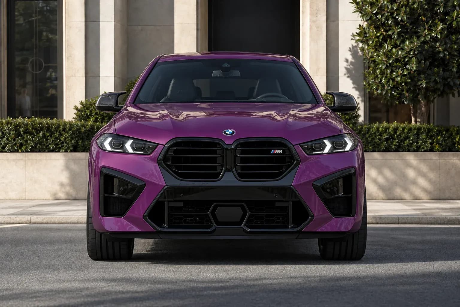 2024 BMW X6 M with EW-S-MF-003 wheel, front 0 view