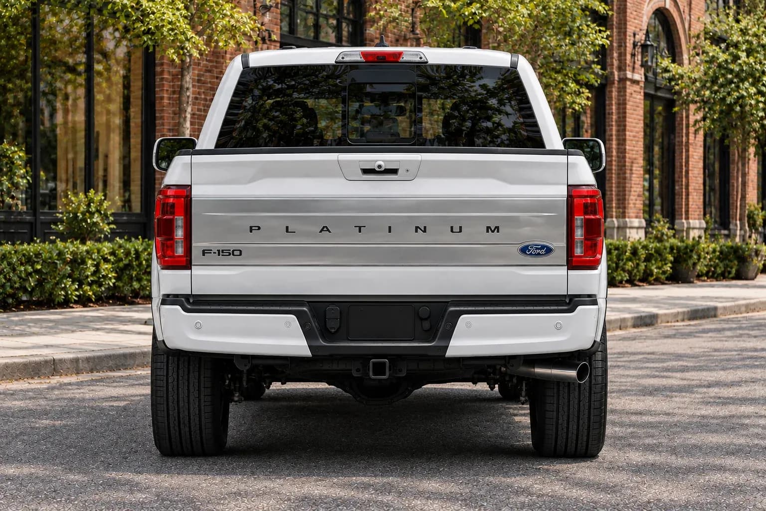 2021 Ford F-150 with EW-S-MP-001 wheel, rear 0 view
